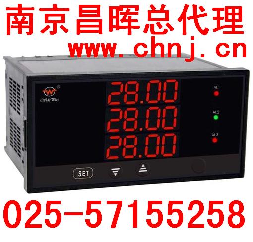 WP上潤雙回路數字/光柱顯示控制儀